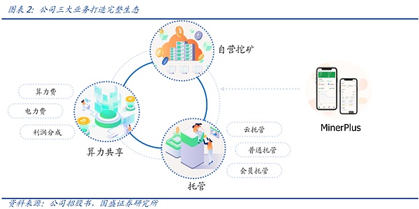 那些被市场遗忘的潜力币：它们还值得押注吗？